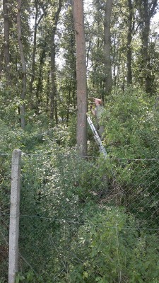 foto 7-2012 191.jpg