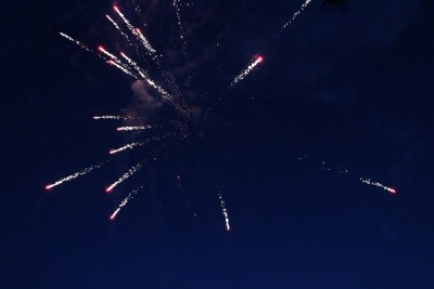 IMG8732.jpg