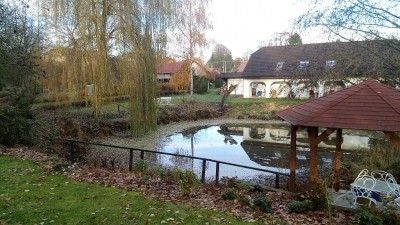 IMG_20161120_084023.jpg