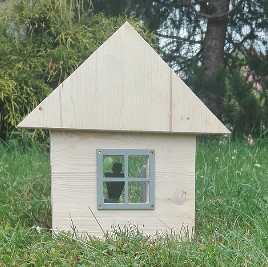 domcek2.jpg